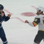 Adam Lowry Revenge Fight Against Keegan Kolesar For Hit That Caused Injury To Haydn Fleury