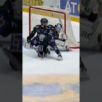 Mål eller inte? (Frölunda HC mot Linköping HC i Saab Arena i Linköping i SHL i Sverige) (#Shorts)