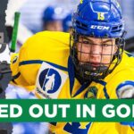 Chicago Blackhawks Prospect Anton Frondell Wins GOLD at World Juniors Championship