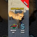 Minnesota Wild vs Seattle Kraken | January 8, 2026 | #CujoCatches NHL Fetch