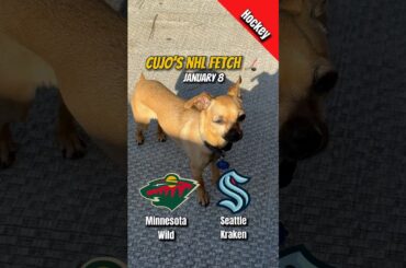 Minnesota Wild vs Seattle Kraken | January 8, 2026 | #CujoCatches NHL Fetch