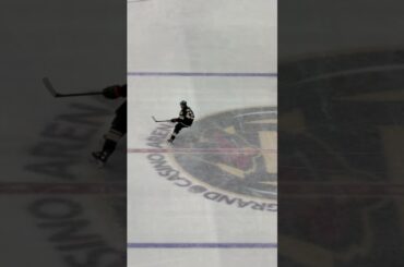 Quinn Hughes 🧠Owns time. Owns space. Elite defense.🔗 projecthockey.com