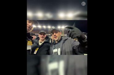 Penguins in the house