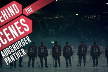Augsburger Panther: Der siebte Mann am Eis