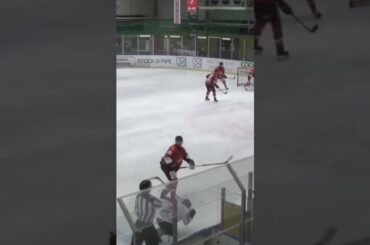 Albin Kedbrant avstängning (Tyresö/Hanviken mot HC Vita Hästen i HockeyEttan i Sverige) (#Shorts)