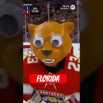 FLORIDA PANTHERS GOALIE INSANE MASK #hockey #nhl