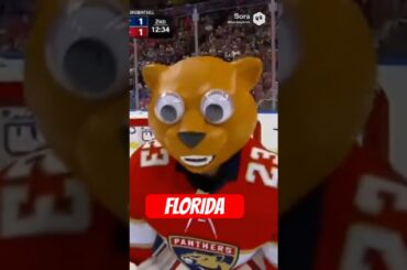 FLORIDA PANTHERS GOALIE INSANE MASK #hockey #nhl