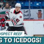 PROSPECT REEF: San Jose Sharks’ Haoxi Wang Switches Teams – Will His Game LEAP Forward?