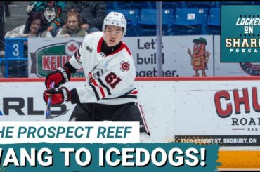 PROSPECT REEF: San Jose Sharks’ Haoxi Wang Switches Teams – Will His Game LEAP Forward?