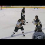 Milan Lucic vs Tim Wallace Dec 30, 2008 - NESN feed