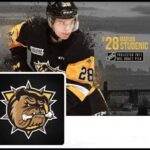 Marian_Studenic's_Goals_Hamilton_Bulldogs_2016_2017