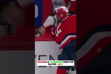Hockey FIGHT: Duhaime vs Lyubushkin 👊🥊