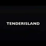 Tenderisland the first Multipurpose Boat - Italian Design and Craftsman