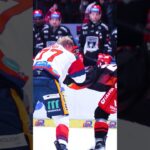 Slyšíte tu atmosféru? Tohle je východočeské derby ❤️ #hockeytown #hockey #fight  #icehockey  #sports