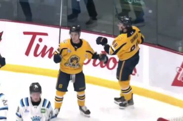 Bruins prospects highlights week 14 (Dec 8th-27th)