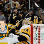 DK's Daily Shot of Penguins: Do they tire out?