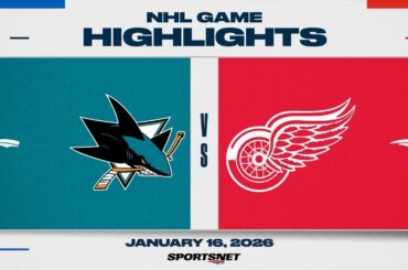 NHL Highlights | Sharks vs. Red Wings - January 16, 2026