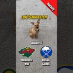 Cujo’s NHL Fetch | Wild vs Sabres 🐕 01-17-2026 NHL Hockey #cujocatches