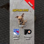 Cujo’s NHL Fetch | New York Rangers vs Philadelphia Flyers 🐕 01-17-2026 #CujoCatches