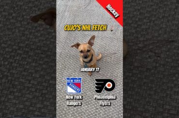 Cujo’s NHL Fetch | New York Rangers vs Philadelphia Flyers 🐕 01-17-2026 #CujoCatches