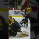 Lauri Pajuniemi filmar (Malmö Redhawks mot Skellefteå AIK i Skellefteå Kraft Arena i SHL) (#Shorts)