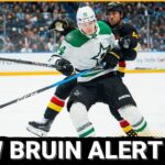 DEFCON: Boston Bruins Defensive Depth TESTED as Vladislav Kolyachonok Joins, What Happens Next?