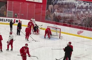Red Wings make wish come true for 4-year-old goalie