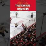 Elite Hands in the Stands! 🧤