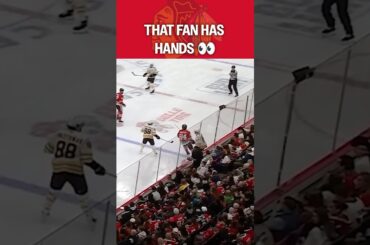 Elite Hands in the Stands! 🧤