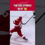 The Cat Ends It in OT! 🚨🐱