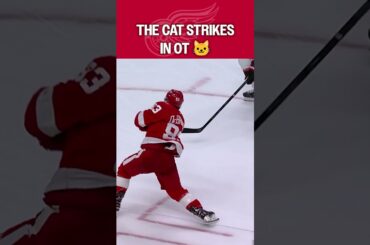 The Cat Ends It in OT! 🚨🐱