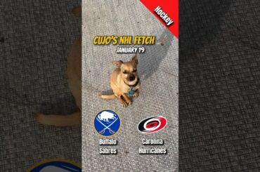 Cujo’s NHL Fetch | Buffalo Sabres vs Carolina Hurricanes 🏒 01-19-2026 #CujoCatches