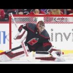 Petr Mrazek best saves! 2020!!