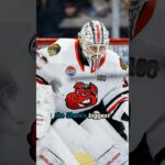 San Jose Sharks Fix One Of Their Weaknesses With Laurent Brossoit Trade