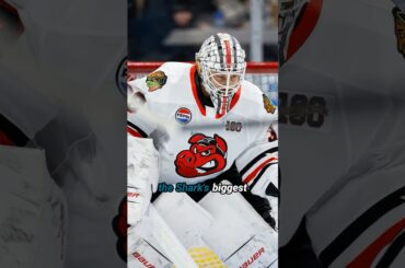 San Jose Sharks Fix One Of Their Weaknesses With Laurent Brossoit Trade