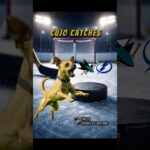 Cujo’s NHL Fetch | San Jose Sharks vs Tampa Bay Lightning 🏒 01-20-2026 #CujoCatches