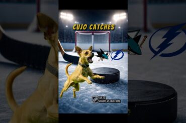 Cujo’s NHL Fetch | San Jose Sharks vs Tampa Bay Lightning 🏒 01-20-2026 #CujoCatches