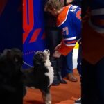 McDavid's Dog Lenny On Hand to Celebrate 1000 Point Milestone