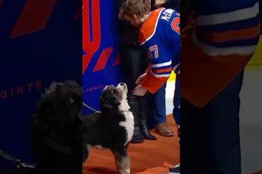 McDavid's Dog Lenny On Hand to Celebrate 1000 Point Milestone