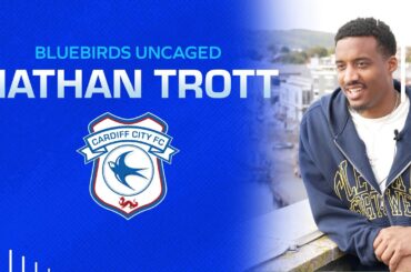 BLUEBIRDS UNCAGED | NATHAN TROTT