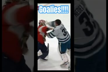 Sharks vs Panthers Goalies Going at It #hockey #shorts