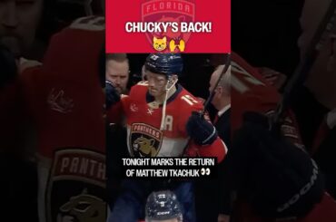 Guess who's back 👀