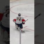 ✨just goalie things✨ #goaliegearsnob #floridapanthers #sergeibobrovsky #truegoalie