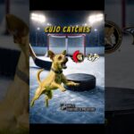 Cujo’s NHL Fetch | Ottawa Senators vs Nashville Predators 🏒 01-22-2026 #CujoCatches