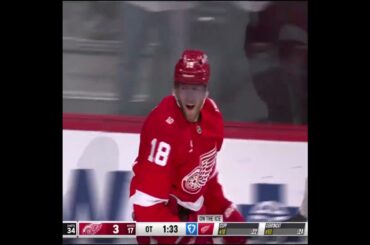 ANDREW COPP WINS IT FOR THE WINGS IN OT ON SERGEI FEDOROV NIGHT ‼️