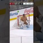 POV: Sumo Hockey Goalie Stops EVERYTHING 🤯🥅