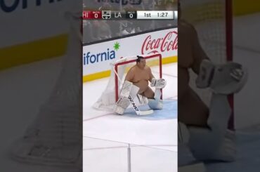 POV: Sumo Hockey Goalie Stops EVERYTHING 🤯🥅