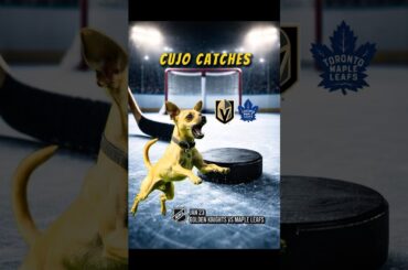 Cujo’s NHL Fetch | Golden Knights at Maple Leafs 🏒 01-23-2026 #CujoCatches