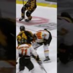Luke Witkowski filmar (Brynäs IF mot Skellefteå AIK Skellefteå Kraft Arena SHL i Sverige) (#Shorts)