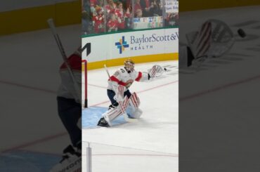 Backup mood. #goaliegearsnob #floridapanthers #vaughngoalie #daniiltarasov